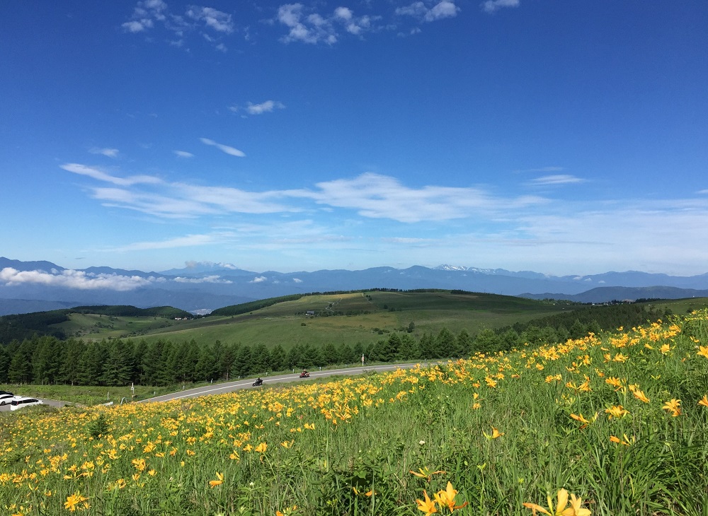 諏訪観光協会 (霧ヶ峰高原観光サイト 霧ヶ峰へ行こう の投稿者